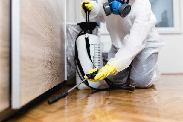 Best Exterminator Services  in Safety Harbor, FL