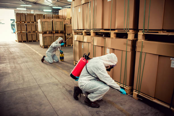 Best Best Pest Control Companies  in Safety Harbor, FL