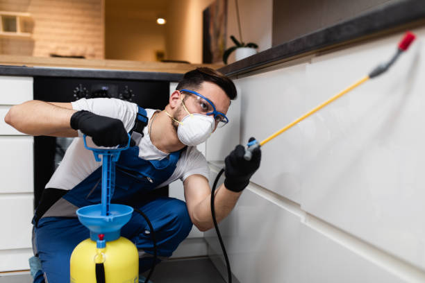 Best Bed Bug Extermination  in Safety Harbor, FL