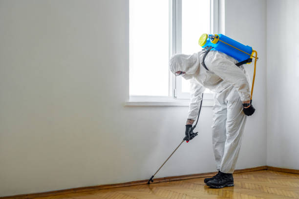 Best Cockroach Control Services  in Safety Harbor, FL